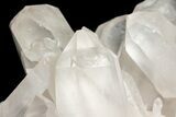 Massive, Wide Quartz Crystal Cluster - Large Crystals! #212494-7